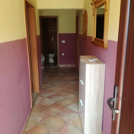 Nela Apartment Funtana